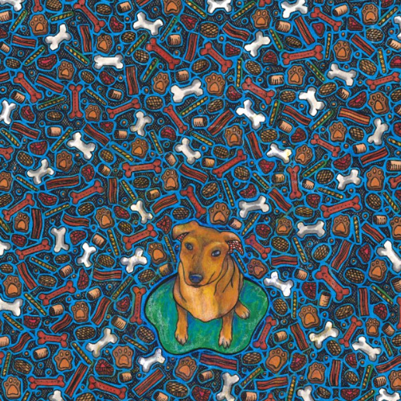 Category: Pet Portraits; Project: Dog Portraits; Tittle: Cookie Time